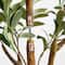 5ft. Potted Artificial Olive Tree with Natural Trunk